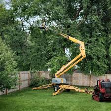 Best Tree Preservation Services  in Pampa, TX